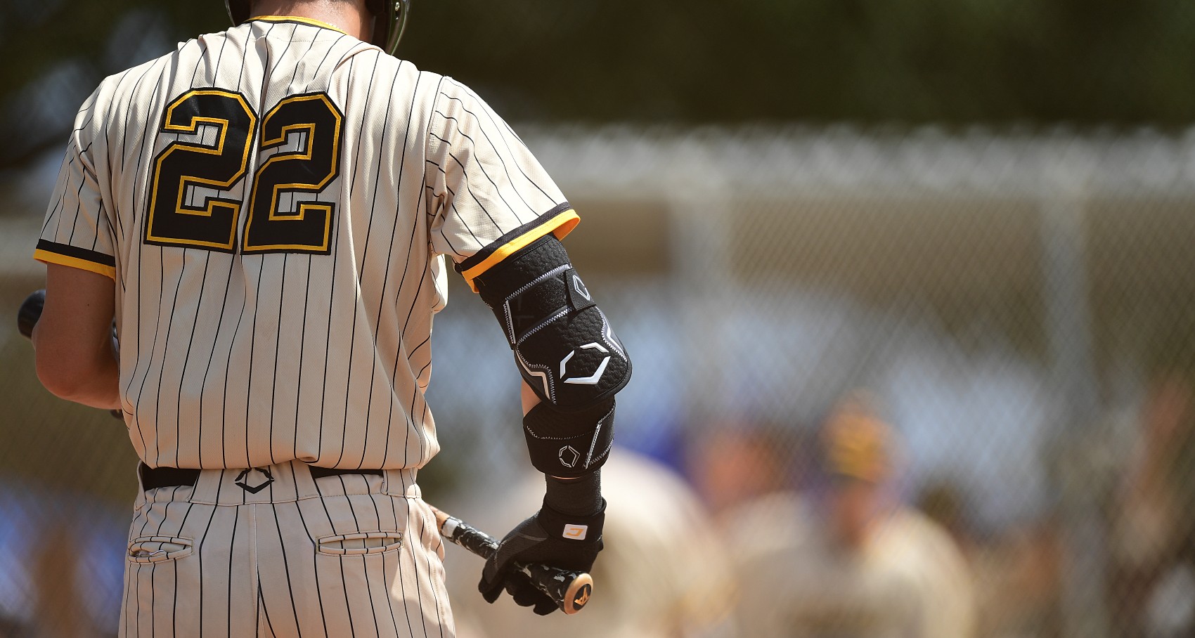 Browse EvoShield's brand page