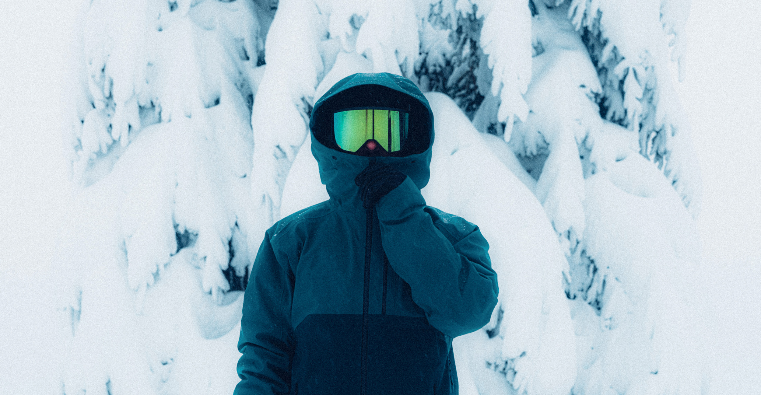 a person standing in a snowy forest wearing ski goggles.
