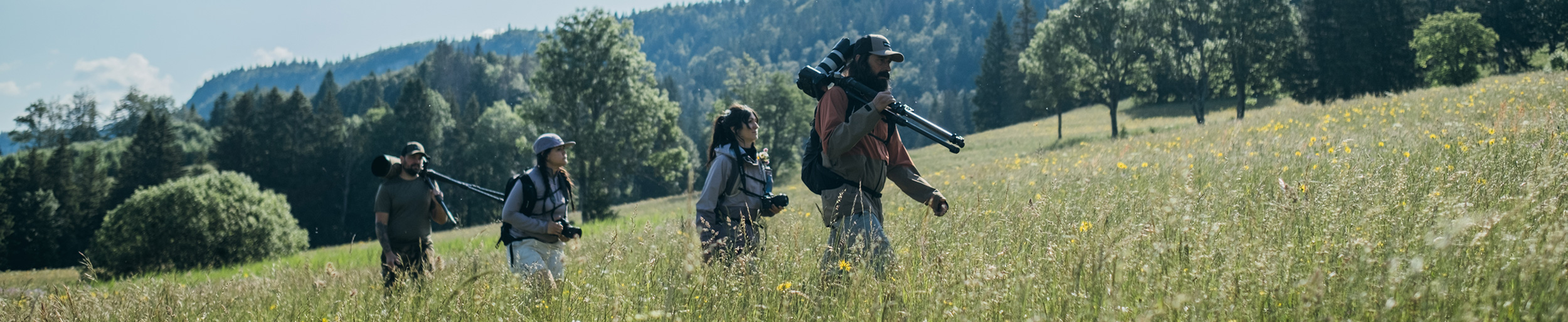 Four people walking in a meadow with camera equipment.