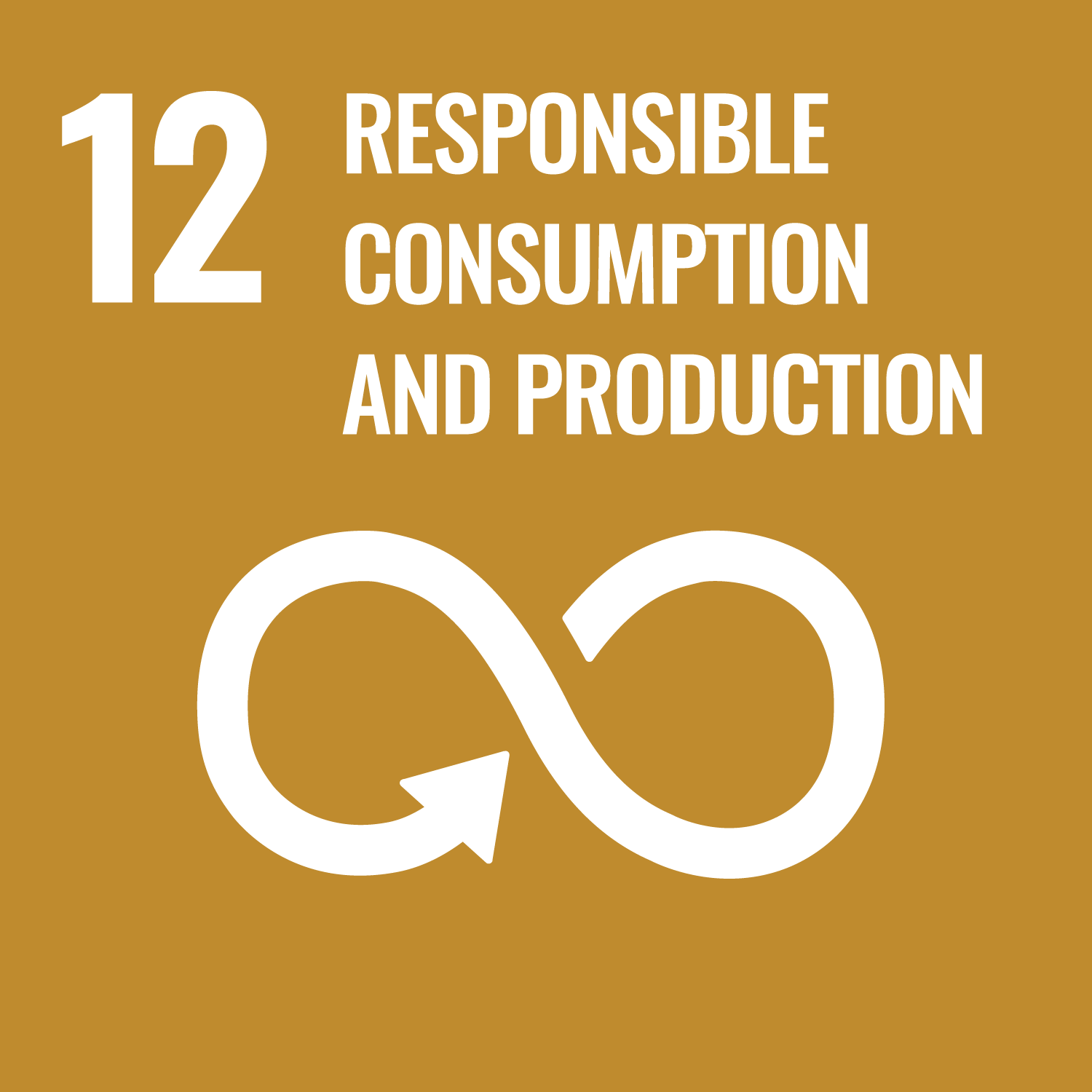 UN SDG 12 Responsible consumption and production