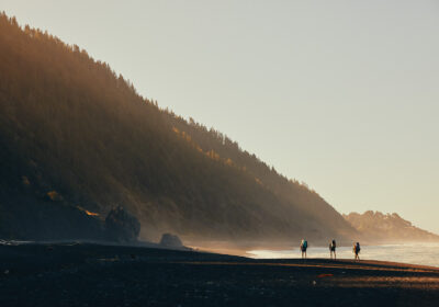 Three hikers walk far away with their backs to the camera by the sea at sunset.